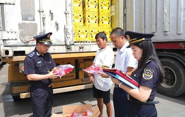 Dịch Vụ Xuất Nhập Khẩu Thuê Ngoài Cho Doanh Nghiệp Sản Xuất