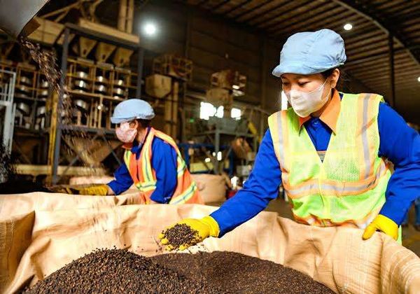 Challenges of Exporting Pepper to Europe
