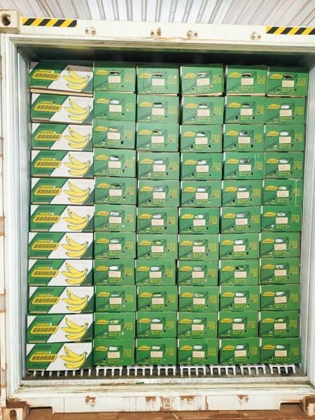 Cold Chain Logistics for Fruit Exporters