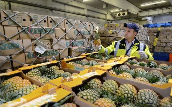 Cold Chain Logistics for Fruit Exporters