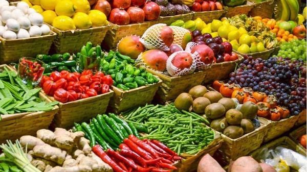 Công Ty Vận Chuyển & Làm Thủ Tục Xuất Khẩu Nông Sản Sang Nhật Uy Tín