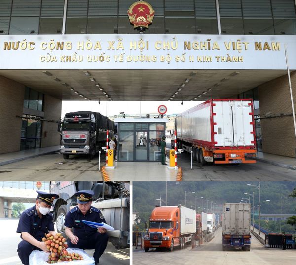 Công Ty Vận Chuyển & Làm Thủ Tục Xuất Khẩu Nông Sản Sang Nhật Uy Tín