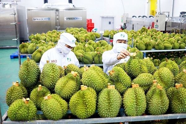 Công Ty Vận Chuyển & Làm Thủ Tục Xuất Khẩu Nông Sản Sang Nhật Uy Tín