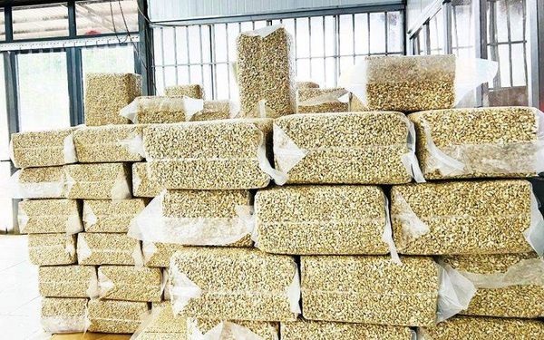 Logistics Solutions for Cashew Processing Plants