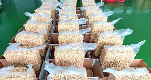 Logistics Solutions for Cashew Processing Plants