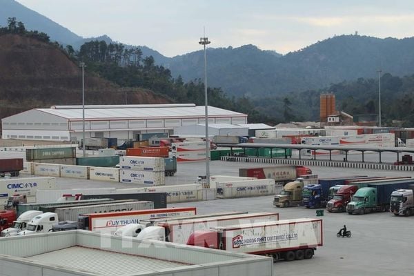 Logistics Solutions for Cashew Processing Plants