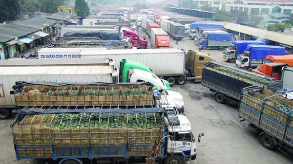 Công Ty Vận Chuyển & Làm Thủ Tục Xuất Khẩu Nông Sản Sang Nhật Uy Tín