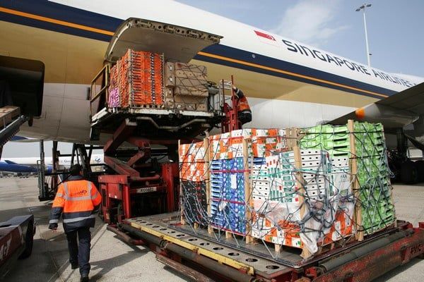 Cold Chain Logistics for Fruit Exporters