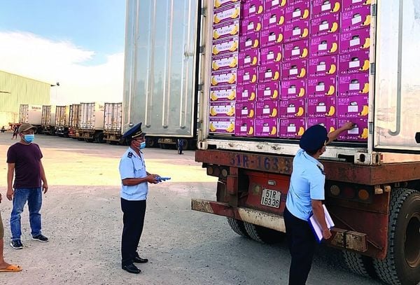 Dịch Vụ Cho Thuê Phòng Xuất Nhập Khẩu Chuyên Nghiệp