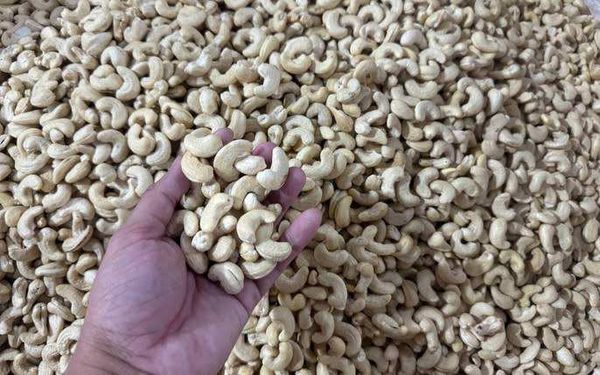 Logistics Solutions for Cashew Processing Plants