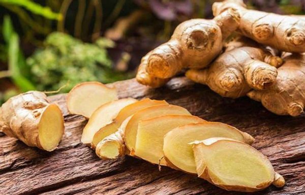 Tiêu Chuẩn, Kiểm Dịch Và Thủ Tục Xuất Khẩu Gừng Tươi