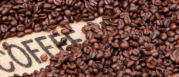 Logistics Solutions for Coffee Export Businesses