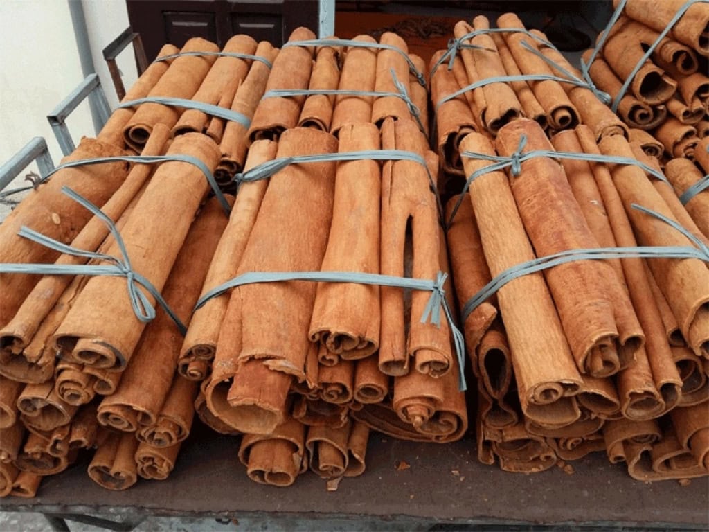 cinnamon export (4)