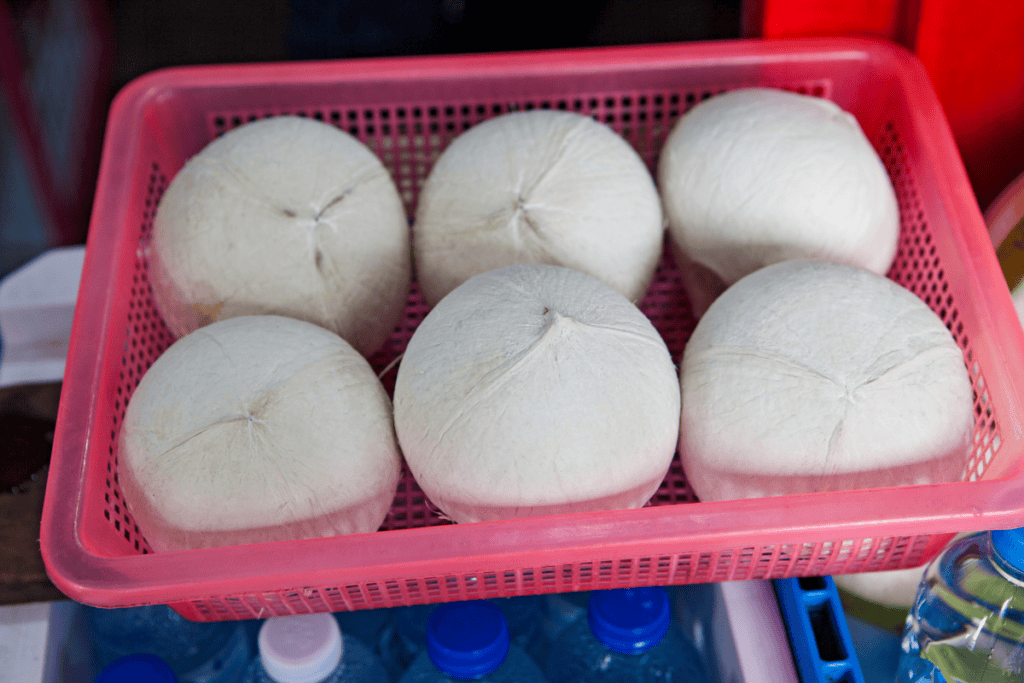 Fresh Coconut Export to China Service – Full-Package Procedures & Great Freight Rates