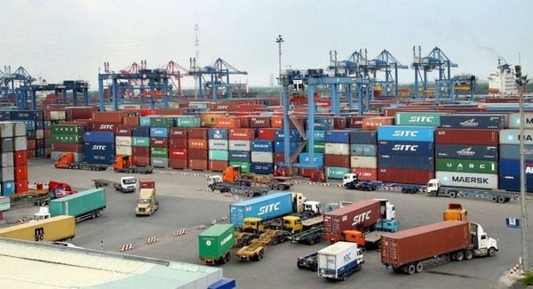 Top 4 Reputable US-Bound Shipping Companies in Vietnam