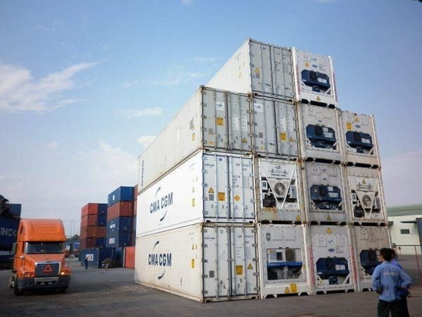 Top 6 Frozen Food & Cold Chain Shipping Companies