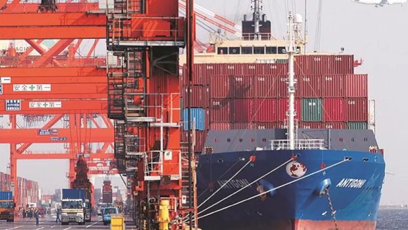 Fruit Export to Russia by Sea – Affordable 2024 Service