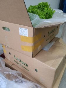 bảo quản rau củ quả tươi lâu bảo quản rau củ quả tươi lâu