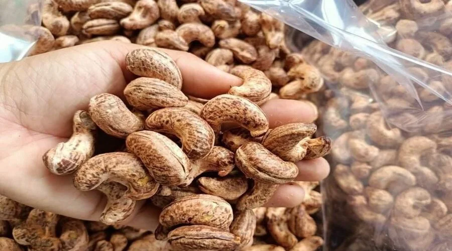 cashew nut exports (1)