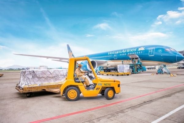 Common Mistakes When Clearing Customs at Long Thanh Airport