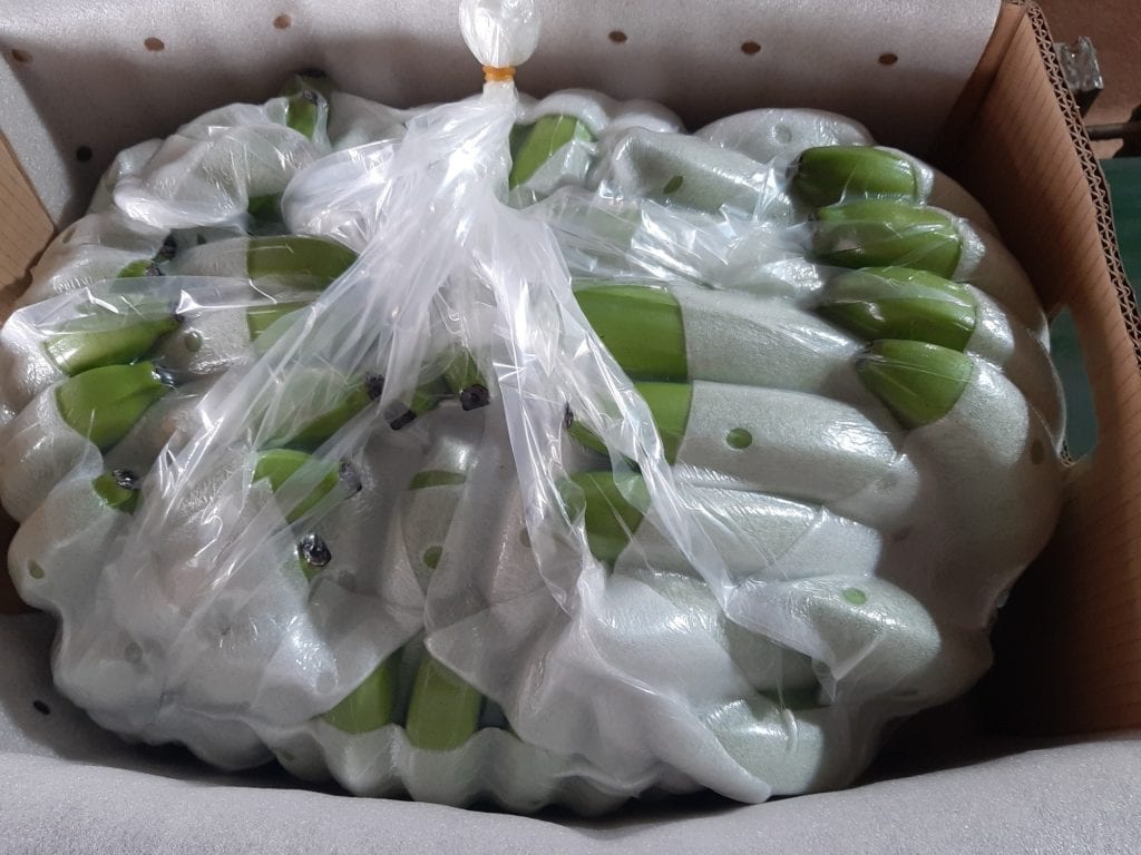 bảo quản chuối xuất khẩu đi trung quốc bảo quản chuối xuất khẩu đi trung quốc