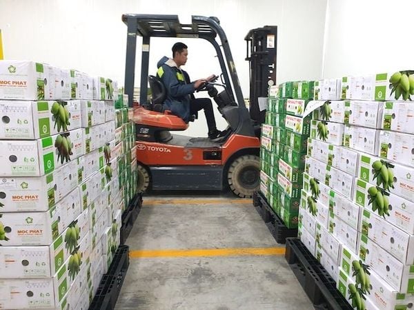 Top 5 Agricultural Produce Shipping Companies