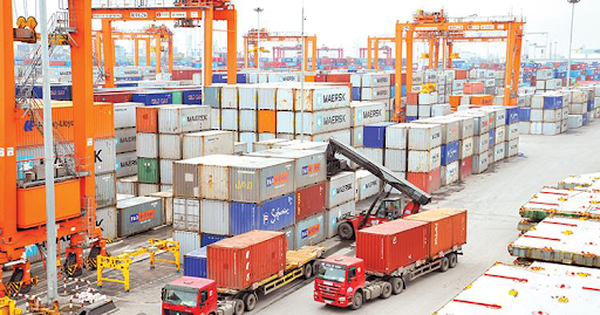 Goods Flagged Red Channel at Cai Mep Port: What to Do