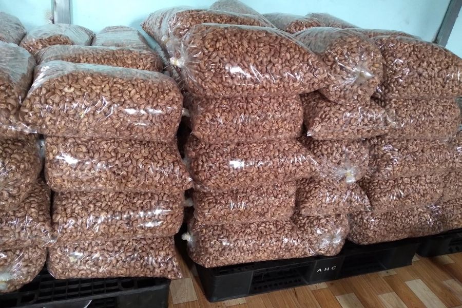cashew nut exports (3)
