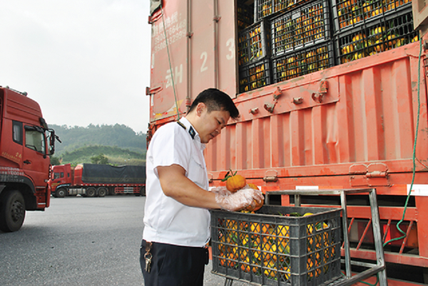 Top 5 Agricultural Produce Shipping Companies