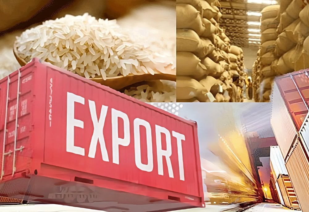 A Detailed A-to-Z Guide to Rice Export Procedures