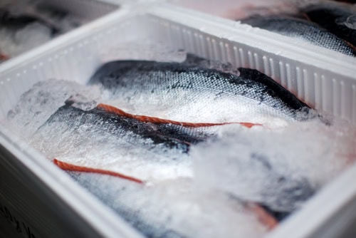 shipping seafood by air (2)