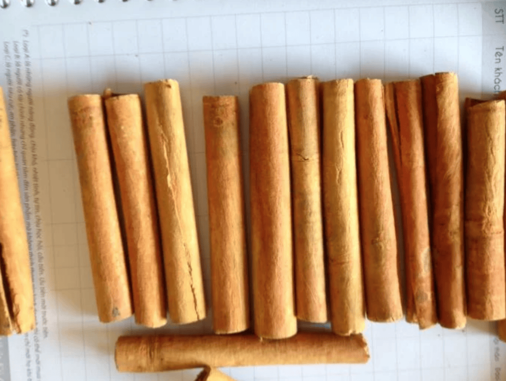 fresh cinnamon export