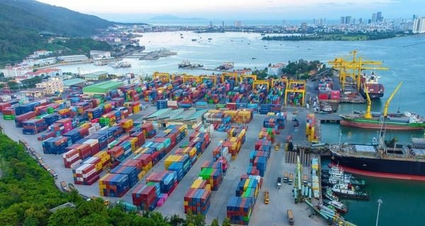 On-the-Spot Import-Export Service at Da Nang Port