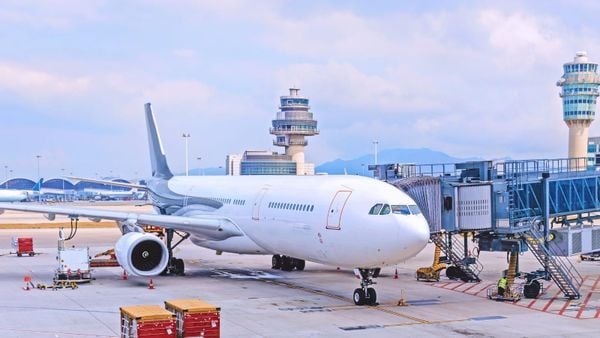 Free Long Thanh Airport Customs Consulting for Businesses