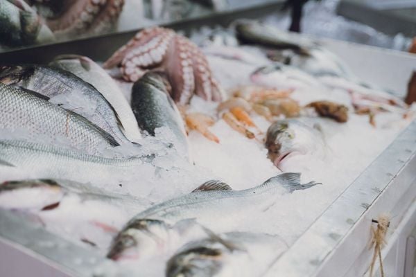 Top 6 Frozen Food & Cold Chain Shipping Companies