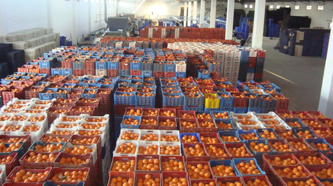 exporting fruit to Russia by sea