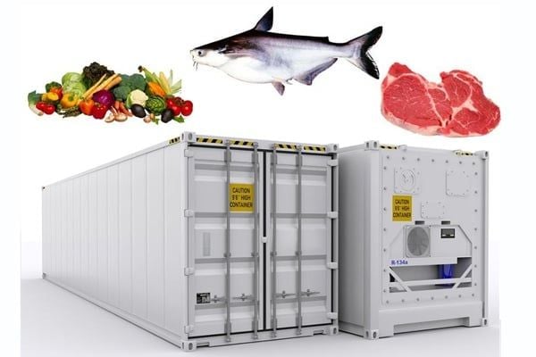 Top 6 trusted frozen food and cold-chain shipping companies in Vietnam 2026