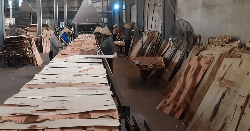 rotary-cut veneer (7)