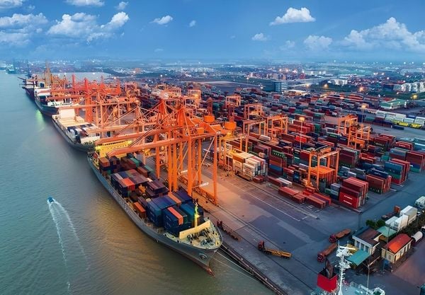 Top Outsourced Import-Export Service Providers of 2026