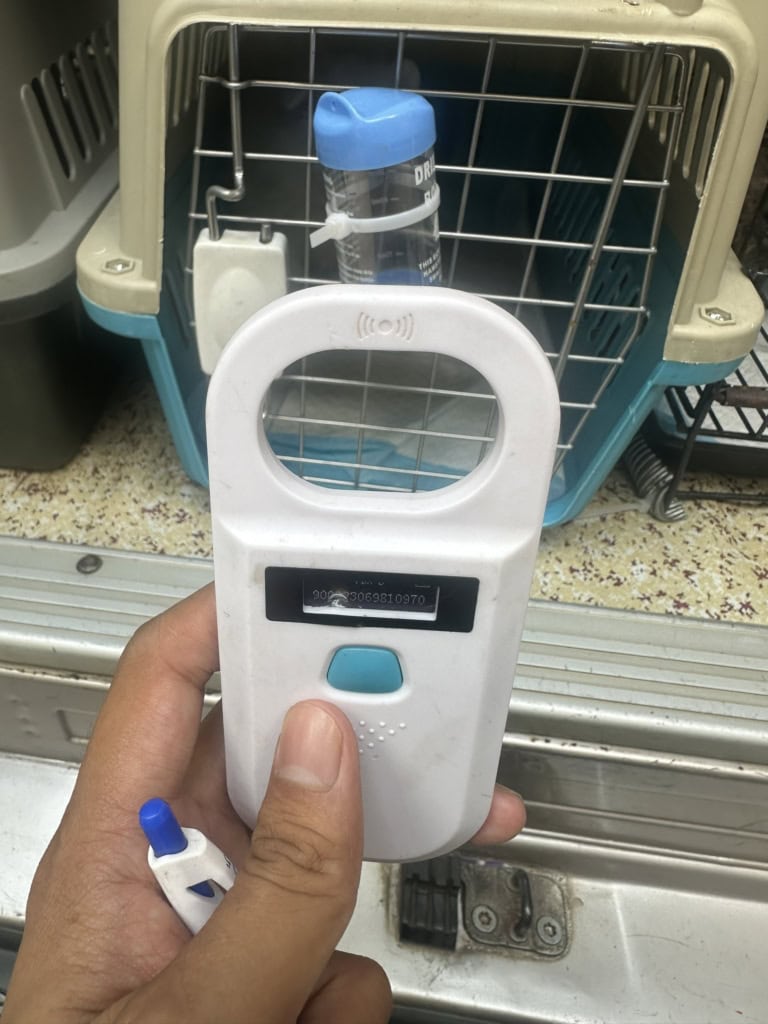 pet quarantine