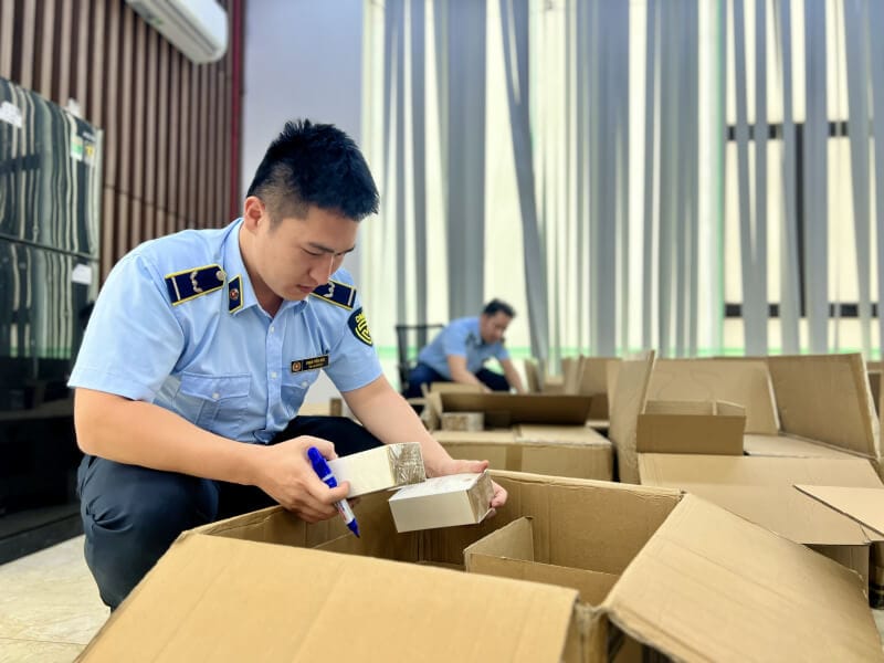 Importing IP-Registered Goods: Avoid Violations and Heavy Fines