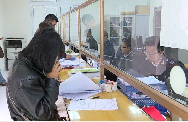 Import-Export Services at Dinh Vu Port | Embassy