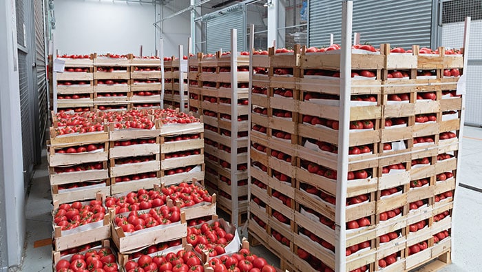 exporting fruit to Russia (4)
