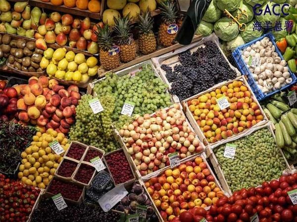 Top 5 Agricultural Produce Shipping Companies