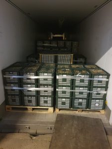 bảo quản và vận chuyển trái cây tuyến bắc nam bảo quản và vận chuyển trái cây tuyến bắc nam