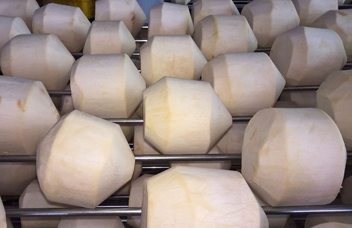 fresh coconut export (5)