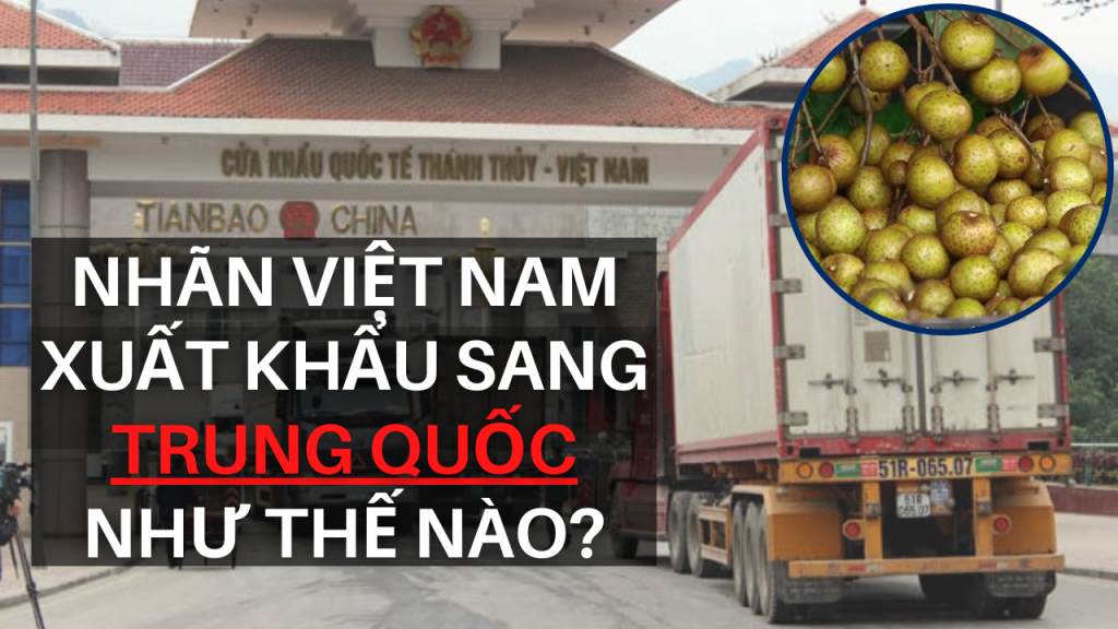 Nhan Viet Nam xuat khau sang Trung Quoc Nhu the nao