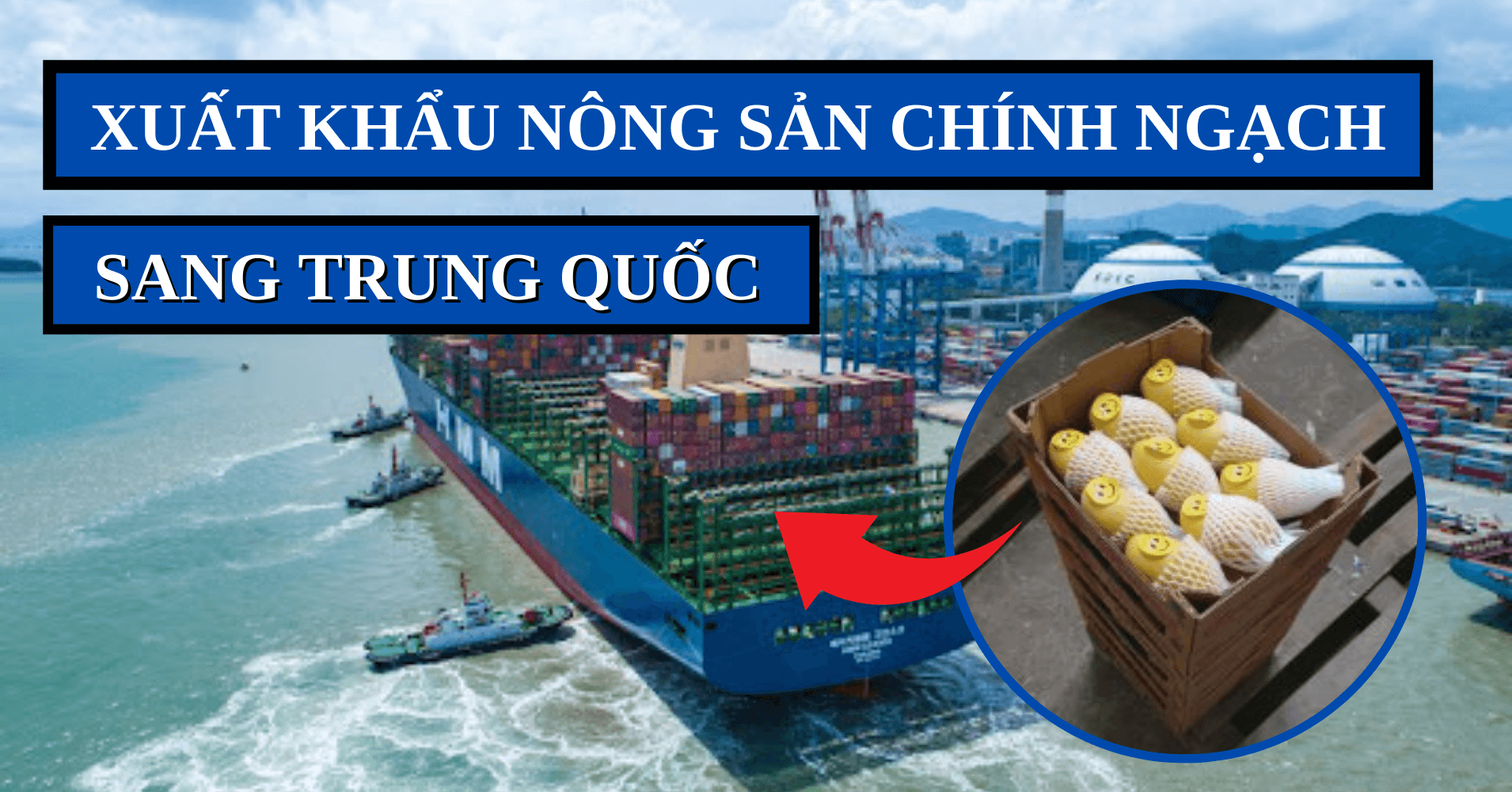 Lợi Ích Khi Xuất Khẩu Nông Sản Sang Trung Quốc Chính Ngạch