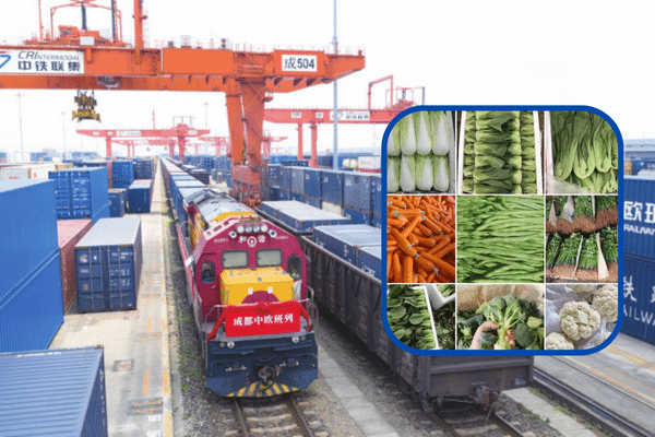 vận chuyển rau củ quả Trung Quốc Về Việt Nam bằng đường sắt container lạnh