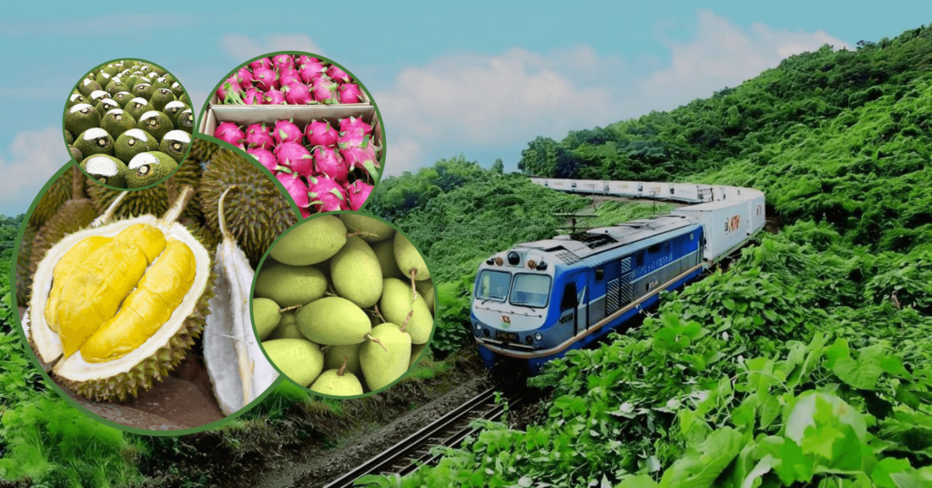 vận chuyển trái cây bằng đường sắt đi Trung Quốc